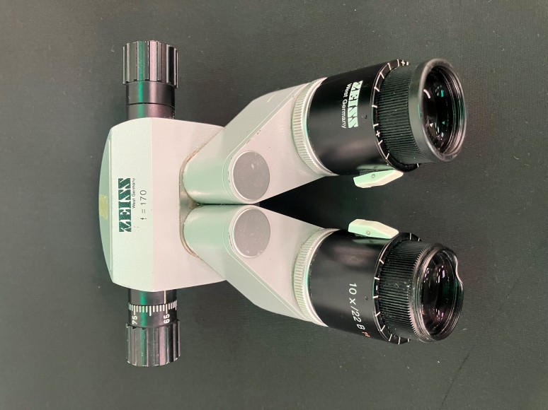 Zeiss f = 170 10 x /22 B T* Binocular Surgical Head