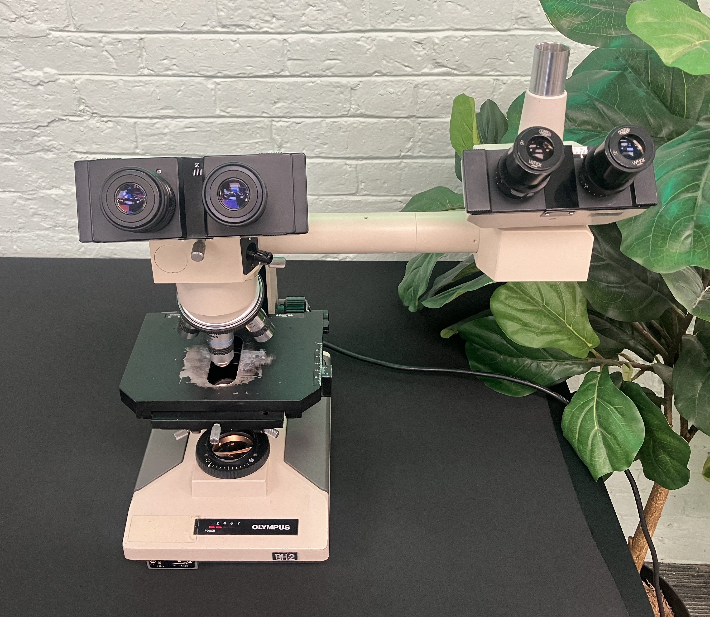 Olympus BH-2 Microscope with 5 Objectives